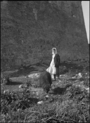 Euboea, Chalcis. Fort, sheep, and girl