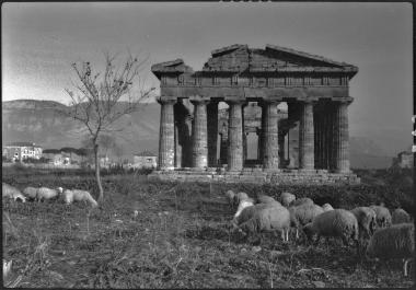 Paestum, Temple of Poseidon