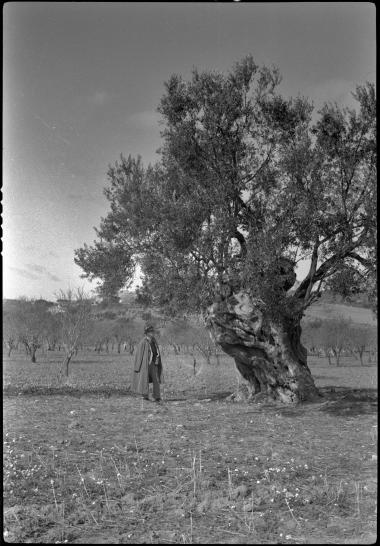 Sicily, Agrigentum