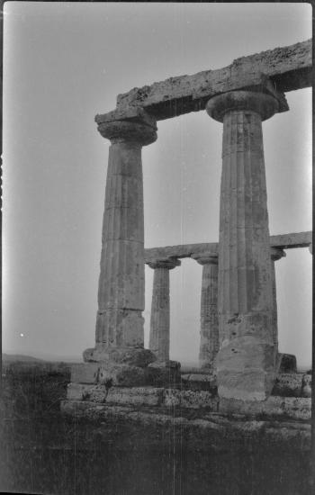 Basilicata, Metapontum. Temple