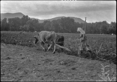 Arcadia, Vytina. Plowing