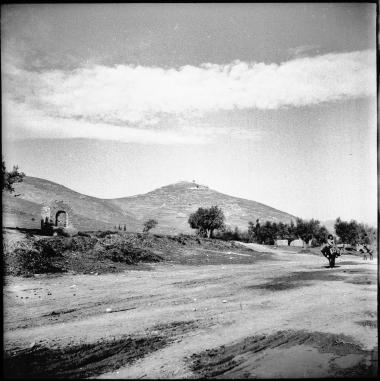 Argos. Fields with mountains