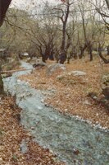 Αροάνιος ποταμός