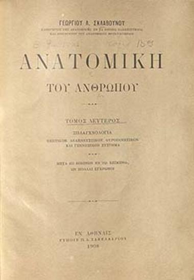 Ανατομική του ανθρώπου