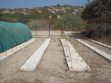 GYALI GREENHOUSES- GREENHOUSES