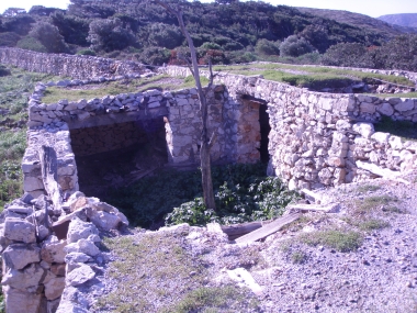 LIVESTOCK UNIT- STABLES, WAREHOUSES, BOILER