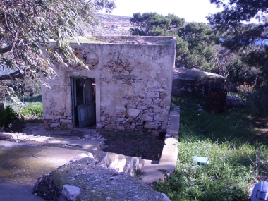 WOOD OVEN