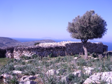 ΜΑΝΤΡΑ- ΣΤΑΒΛΙΣΜΑ ΖΩΩΝ