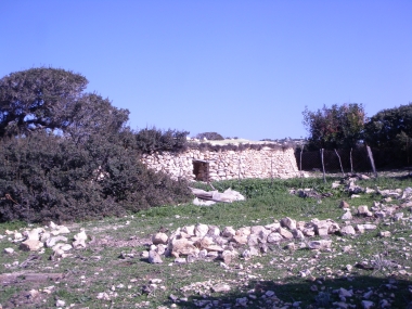 ΜΑΝΤΡΕΣ ΚΑΙ ΞΥΛΟΚΑΜΙΝΟ- ΣΤΑΒΛΙΣΜΑ ΖΩΩΝ, ΠΑΡΑΣΚΕΥΗ ΤΥΡΙΟΥ, ΠΑΡΑΣΚΕΥΗ ΚΑΡΒΟΥΝΟΥ