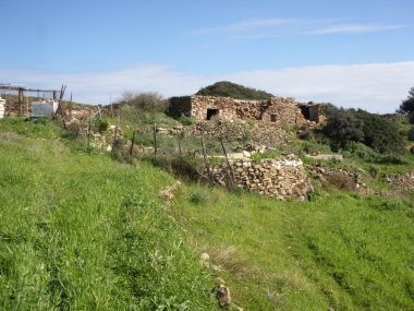 ΑΛΩΝΙ ΚΑΙ ΑΓΡΟΙΚΙΑ ΜΕ ΞΥΛΟΦΟΥΡΝΟ- ΠΑΡΑΣΚΕΥΗ ΨΩΜΙΟΥ, ΑΛΩΝΙΣΜΑ ΔΗΜΗΤΡΙΑΚΩΝ