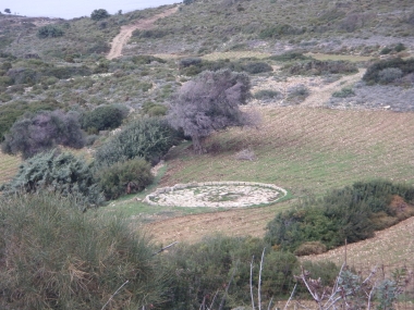 ΑΛΩΝΙ- ΑΛΩΝΙΣΜΑ ΔΗΜΗΤΡΙΑΚΩΝ