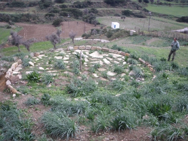 THRESHING- CEREAL THRESHING