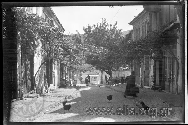 Δρόμος στη Μυτιλήνη.