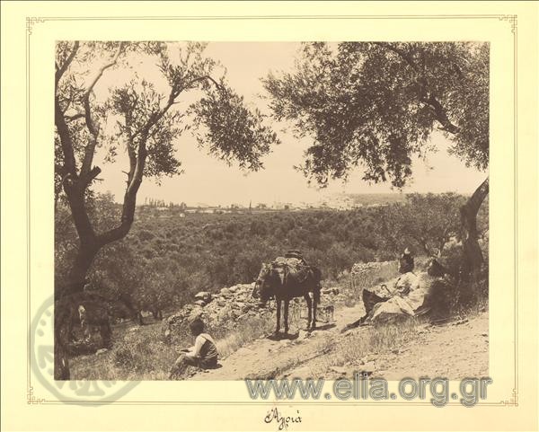 Περιμένοντας το τραίνο στην Αγριά Βόλου.