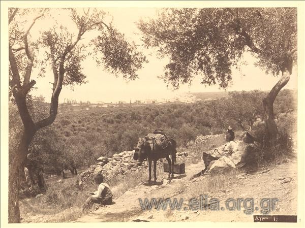 Περιμένοντας το τραίνο στην Αγριά Βόλου.