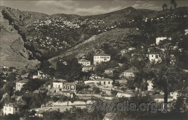 H Ανακασιά με φόντο τη Μακρυνίτσα.