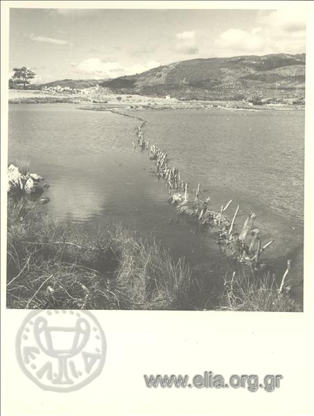 Landscape by a lake.