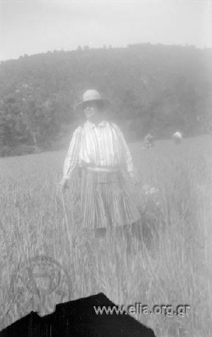 Iris in a field