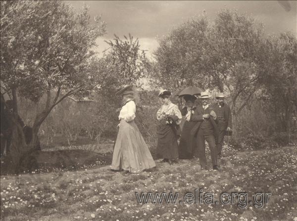 Εκδρομή σε ελαίωνα.