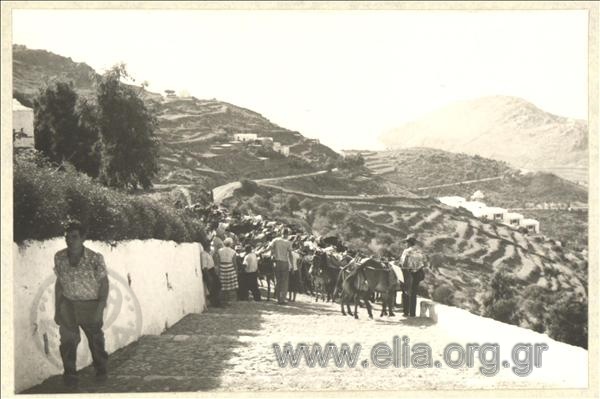 Riding donkeys uphill on an island road