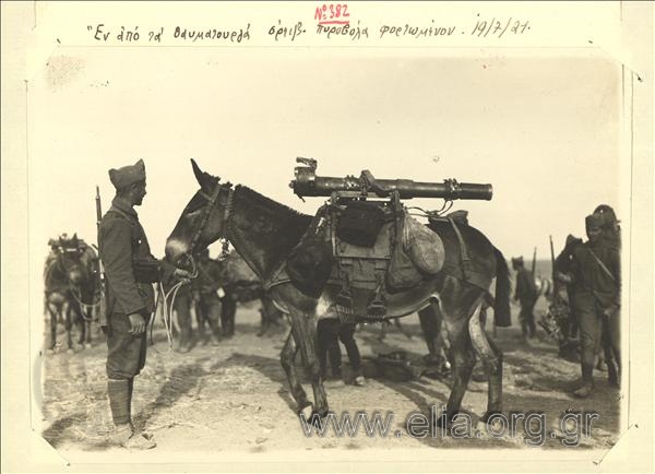 Asia Minor campaign, July 19, mule loaded with a gun.