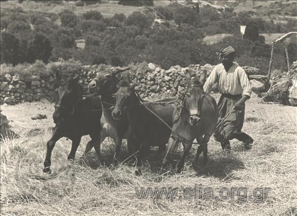 Threshing