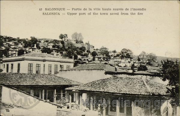 Salonique - Partie de la ville haute sauvée de l' incendie.