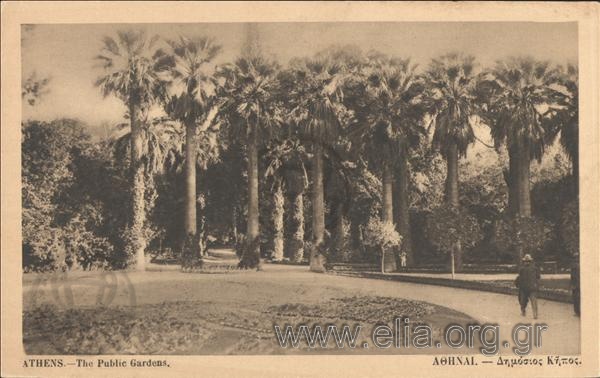 Athens. - The Public Gardens.