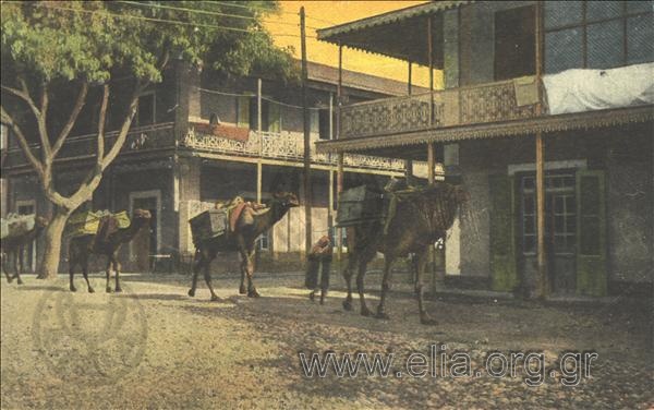 Ismailia. - Negreli street.