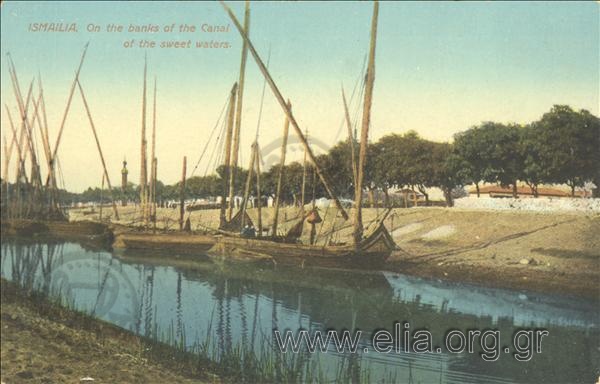 Ismailia. On the banks of the Canal of the sweet waters.