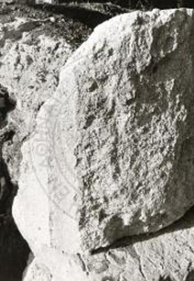 Τεμάχιο σπονδύλου από πώρινο δωρικό κίονα, πιθανότατα του ναού του Απόλλωνος.