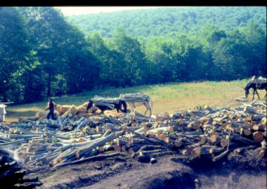 Timber transport, Nymfaio Florina