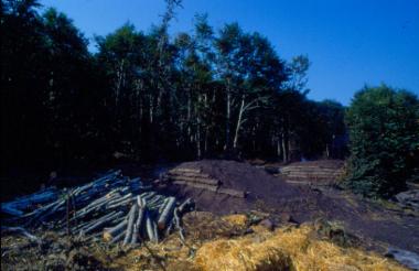 Kiln for making charcoal, Nymfaio Florina