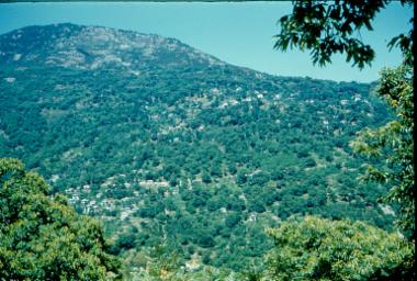 Κισσός Πηλίου