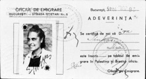 Identification card, Emmigration card of Lisa Pinhas