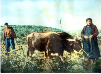 Groom and his mother in low