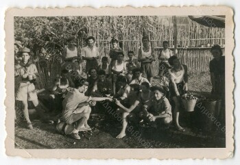 Aubergine peeling by the work group of Scouts in Kastania