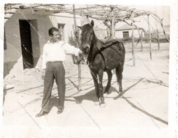 Βόλτα με το άλογο το 1960 στο Κεφαλοχώρι Ημαθίας