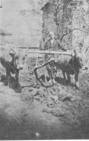 Ploughing, Fourka, 1928