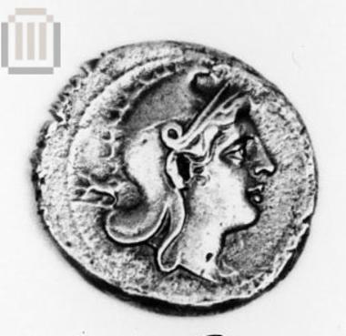 Didrachm Rome