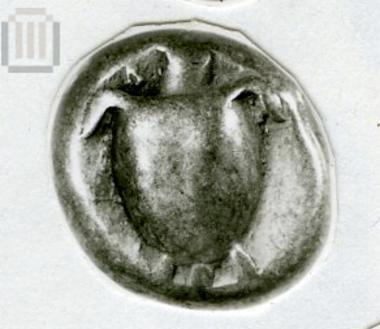 Stater Aigina