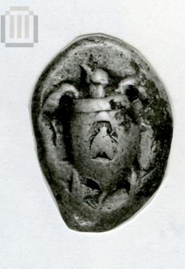 Stater Aigina