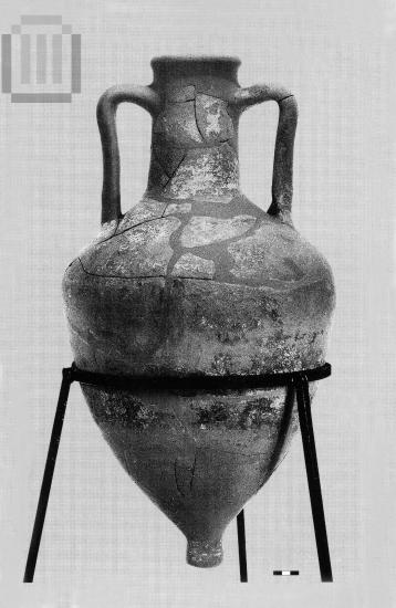 Amphora