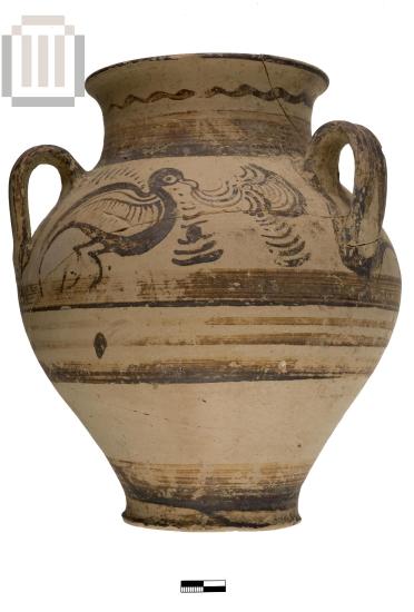 Amphora