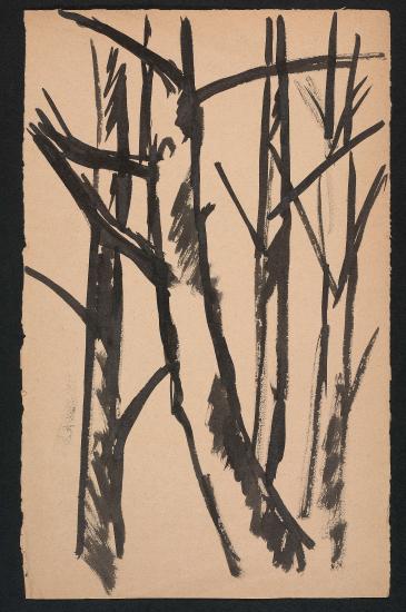 Study for a tree (recto) Untitled (verso)