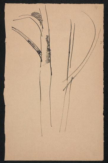 Study for Tree