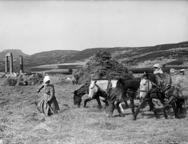 Némée, foulage du blé (Νεμέα, αλώνισμα σιταριού)