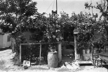 Περιοχή Αγίου Θεράποντα, Κάτω Τούμπα, 1974