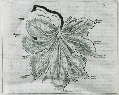 Παράσταση της Πελοποννήσου ως φύλλου μουριάς, όπου σημειώνονται οι σημαντικότεροι κόλποι και ακρωτήρια.